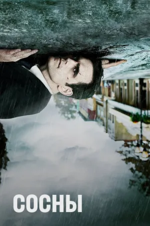 Сосны (сериал 2015)